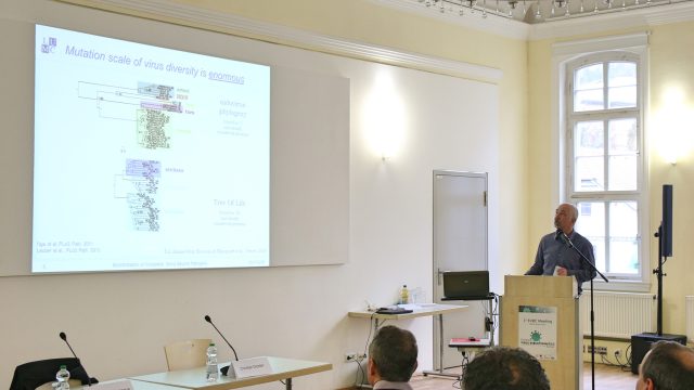 Alexander Gorbalenya: Phylogeny & taxonomy