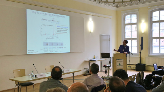 Ronald van Rij: Virus-host-interaction (protein-protein-interaction and RNA interaction)