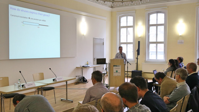 Andrew Firth: Virus-host-interaction (protein-protein-interaction and RNA interaction)